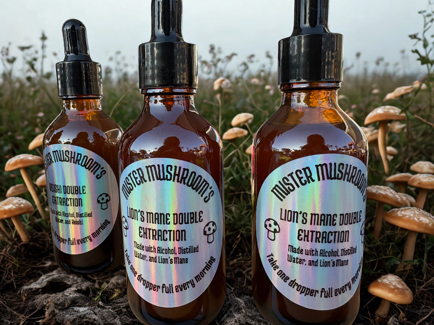Mushroom tinctures