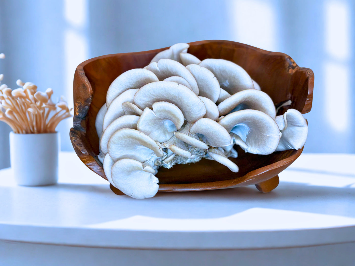 Dried & Sliced Oyster Mushrooms (Pleurotus ostreatus)