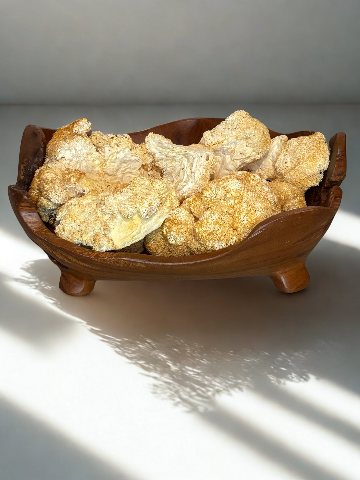 Dried & Sliced Lion’s Mane Mushroom (Hericium erinaceus)
