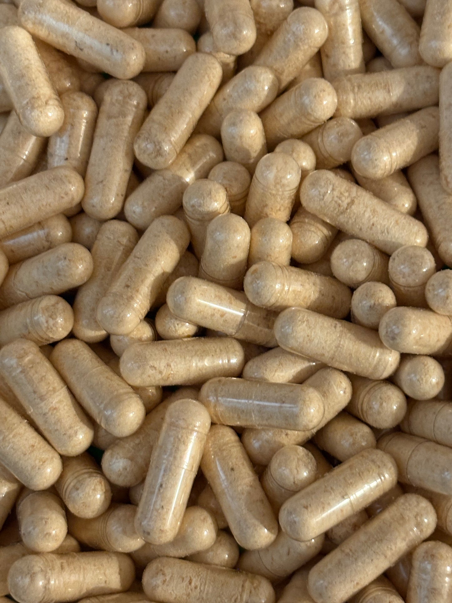 Lion’s Mane Mushroom Capsules