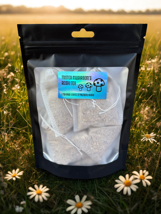 5 Reishi Tea Bags