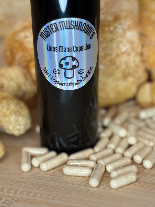 Lion’s Mane Mushroom Capsules