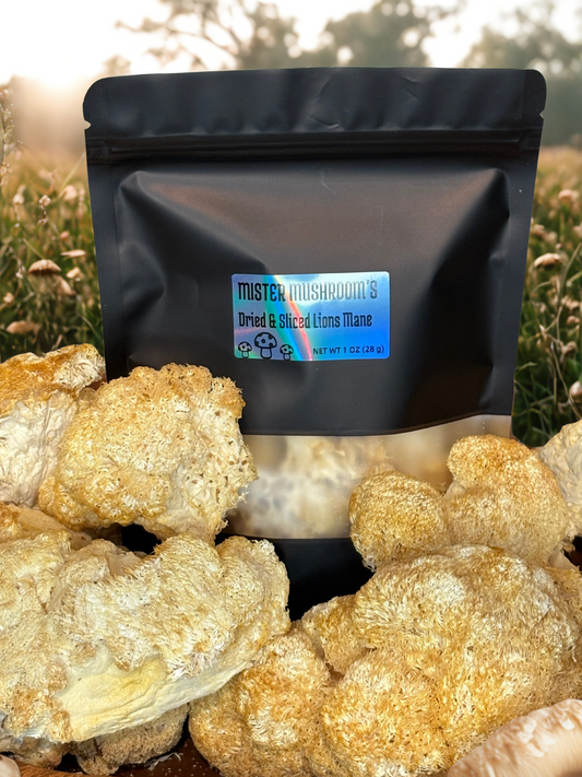 Dried & Sliced Lion’s Mane Mushroom (Hericium erinaceus)